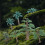 7Pcs Miniature Tree Model Scenery Model Simulation Trees PVC Realistic Shape 7