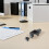 6pcs Aluminum Alloy Desk Partition Bracket Clips Adjustable Desktop Divider Support Clamp 5