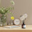 Lot de 5 bâtonnets diffuseurs en rotin, recharges pour diffuseur de parfum, bâtonnets de fleurs naturels 5