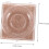 6pcs False Eyelash Case Lash Tray Glitter Eyelash Box Makeup Tools Organizer Plastic Lash Holder 5