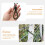 4pcs Tent Buckle and Canopy Pull Rope Hook Set Elastic Tent Rope Fasteners 3