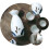 Set da sake in ceramica giapponese, composto da 5 pezzi con delicate teiere smaltate. 3