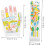 Sets tragbare Massagehandschuhe und -socken für Handreflexzonenmassage 3