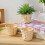 5pcs Synthetic Material Storage Baskets with Simple Design for Home and Picnic Use 6
