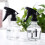 5pcs 250ml Refillable Plastic Spray Bottles Hairdressing Sprayers Salon Barber Tools 3
