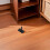 Cabinet Kickboard Clips with Semi Circular Opening 40 Sets Adjustable Black Abs 7