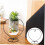 4pcs Iron Hanging Stand for Bottle Hanger Micro Landscape Bottle Display Stand Simple Design 7