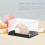 4pcs Rectangular Display Boxes for Mineral Specimens and Shells, Plastic Mini Specimen Storage Cases 4