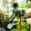 30pcs Miniature Model Trees Plastic Trees DIY Landscape Scenery for Scenery 4