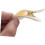 4pcs Creative False Eyelash Extension Tweezer Eyelashes Applicator Tool Clip Nipper for Makeup 5