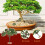 3Pcs Miniature Landscape Tree Models for DIY Sand Table Crafts Simulation Mini Trees 3