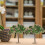 3Pcs Miniature Landscape Tree Models for DIY Sand Table Crafts Simulation Mini Trees 7