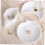 3pcs White Plaster Moon Shell Jewelry Trays Small Decorative Display Plates 7