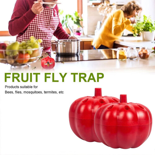 2-Pack Fruit Fly Trap for Indoor Use 1