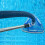 Premium Pool Vacuum Hose30ft with Swivel Cuff 4