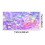 BAILANku Microfiber strandhanddoek 30x60 inch 4