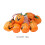 Halloween pumpkin string lights orange LED 10-pack 8