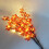 Capino Herbst-Ahornbaum-Lampe mit 20 Lichtern 5