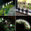 20-Piece Solar Landscape Lights Outdoor Waterproof 5