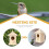 Nichoir en bois naturel pour perruches 2