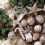 Christmas balls silver wedding champagne decoration 4 3