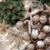 Christmas balls silver wedding champagne decoration 4 4