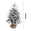 White Flocked Christmas Tree 45 cm 3