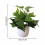 Műbonsai fa fehér cserépben 22 cm 2