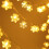 20LED Snowflake String Lights, 3m Warm White, Battery 4