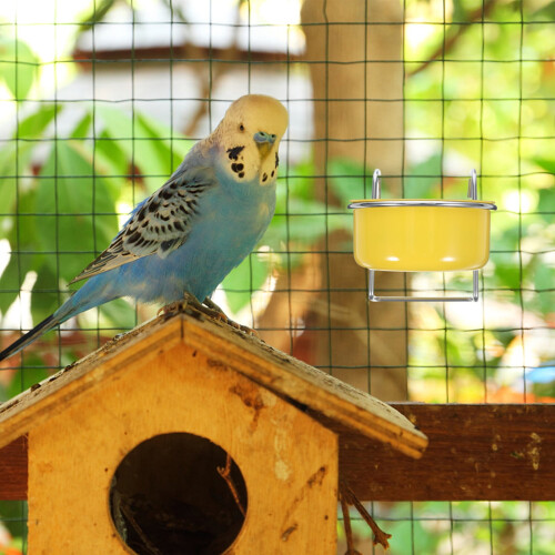 Mangeoire en acier inoxydable pour perroquets et petits oiseaux 1