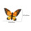 Cuscino decorativo multicolore 50x40 cm 3