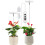 Lampe de croissance LED pour plantes (2 pièces) 4