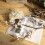Bouquet de fleurs de prunier artificielles blanches en soie 3