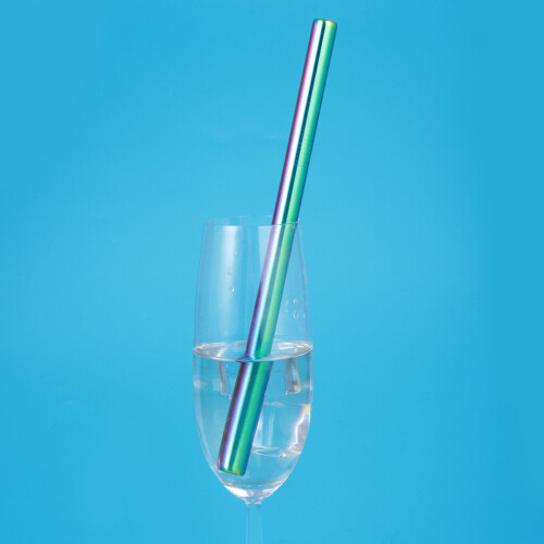 Paille en acier inoxydable 21,5 x 1,2 cm 2
