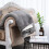 Soft Snuggle Blanket Flannel Lamb Wool Composite 63x51 in 4