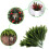 80 buc ace de pin artificiale, 6,7x2in, verde 4