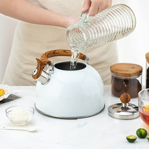 Stainless Steel Whistling Tea Kettle 2.5L 2