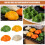 8Pcs Múnlaí Dumpling Saorga PVC Props Bia 2