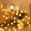 MERILER Rose LED String Lights 10ft 5