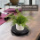 Support rond en bois pour vase avec base pivotante 4