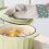 Gants de cuisine isolants verts pour four (1 paire) 3