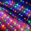 LED String Lights Net Mesh 10ft x 6.5ft 200 LEDs 8 Modes 2
