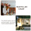 Tiges de myrtilles artificielles (lot de 2) 3