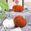 2 Pack Pumpkin Shaped Throw Pillows 28 x 24 cm White & Brown 3