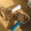1-Cup Pet Food Measuring Scoop ABS 3