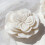 Austin Rose Flower Silikonformen, lebensmittelechtes Silikon für 6