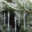 Christmas Icicle Ornaments, Clear Plastic, 24 pcs, 13 cm 4