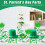 St. Patricks dag-servisesett for 24 gjester 5