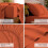 Ensemble de draps en microfibre Queen 4 pièces 4