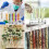 48 eprubete de plastic x 25 ml cu capace 4